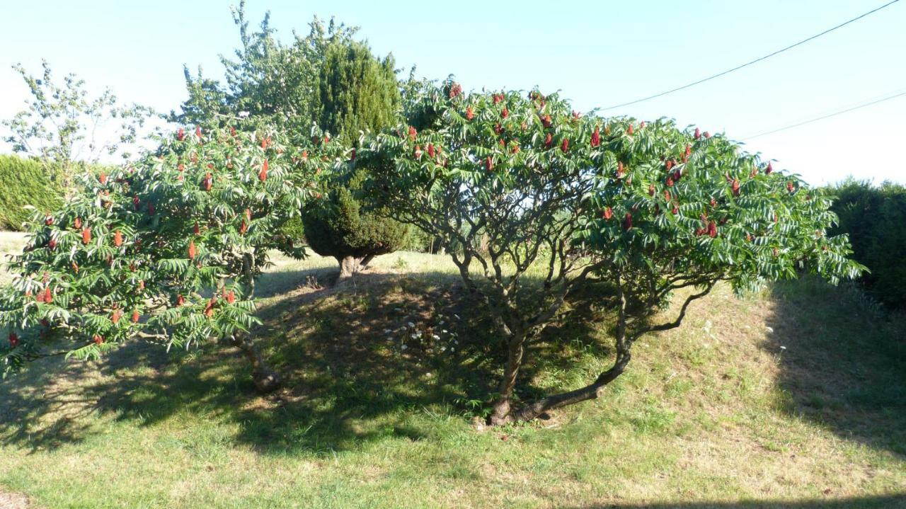 La Maison De Ners Pertheville-Ners Esterno foto